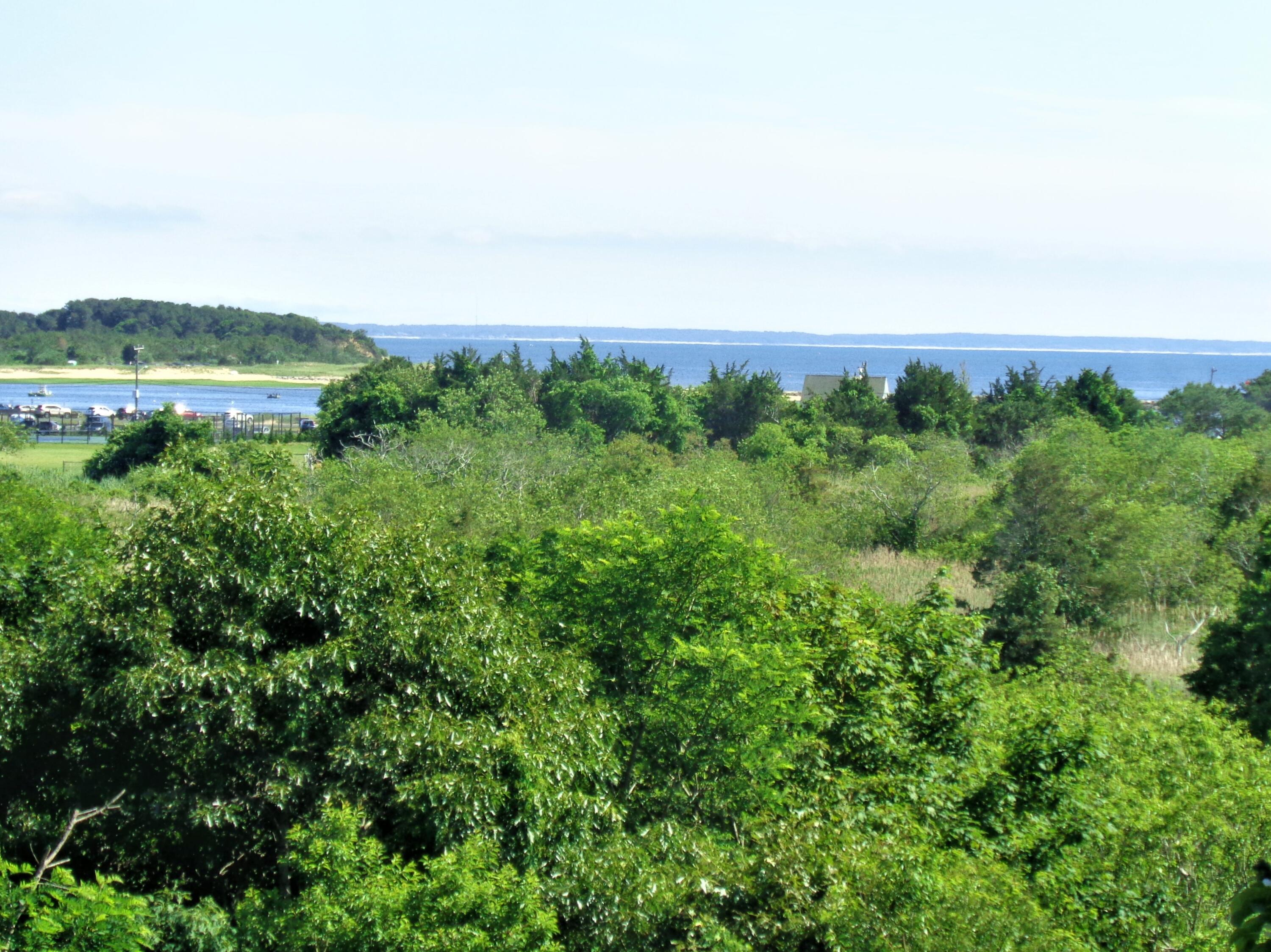 95 Chequessett Neck Road Wellfleet, MA 02667 - Photo 12 of 75 an aerial view of a houses with a yard