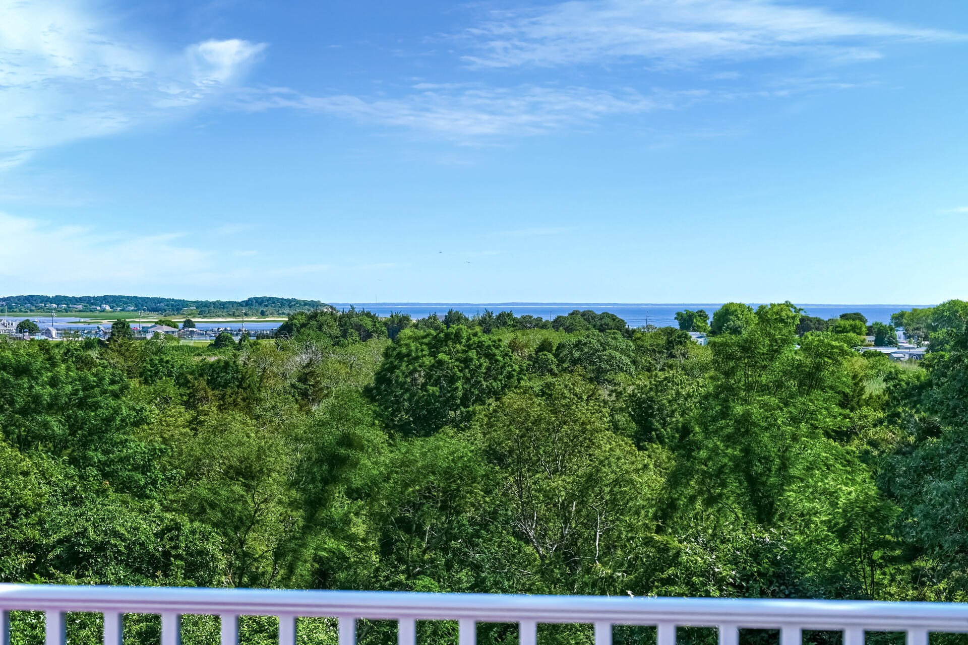 95 Chequessett Neck Road Wellfleet, MA 02667 - Photo 18 of 75 15_Backyard_IMG_4304