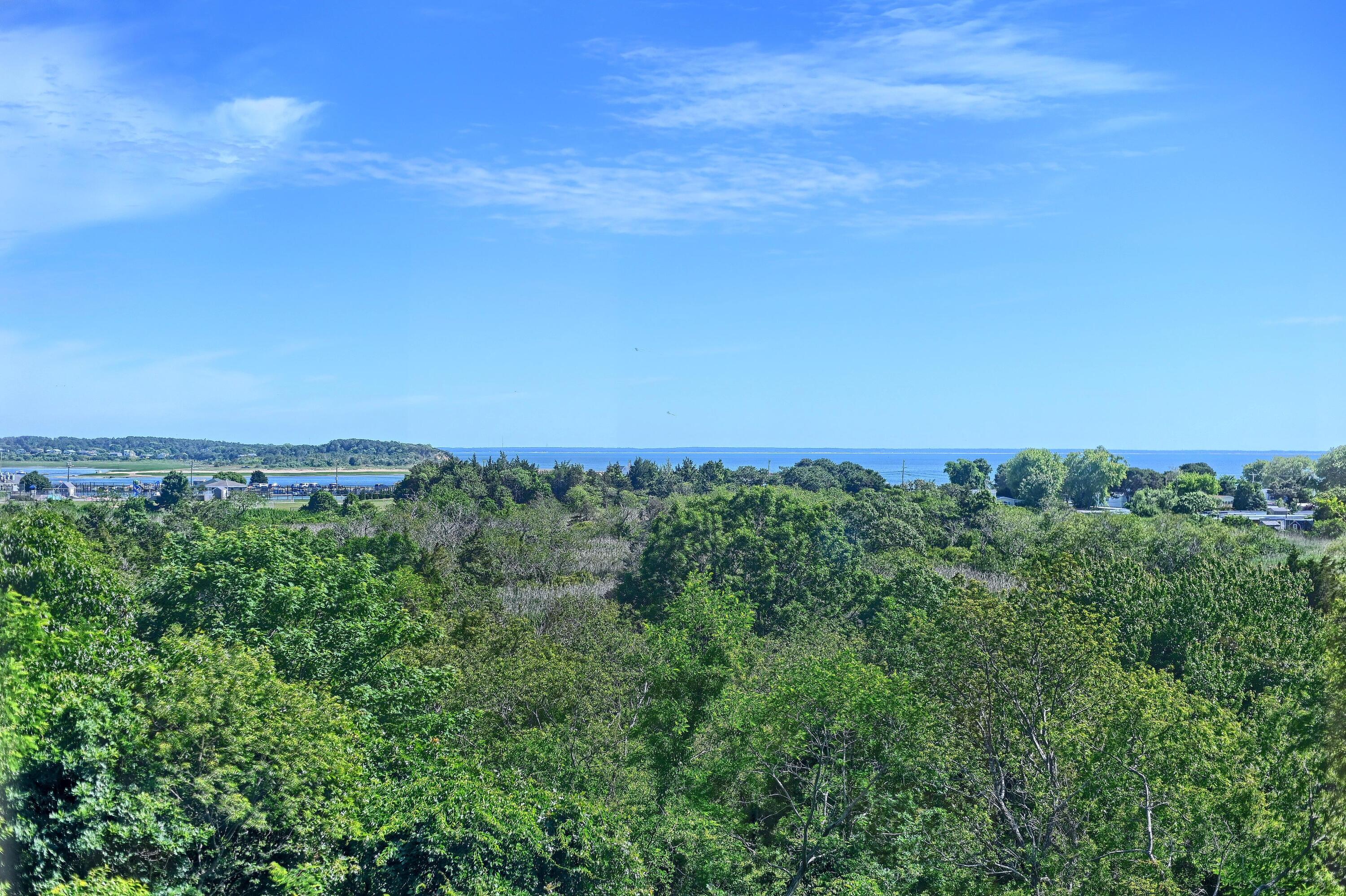 95 Chequessett Neck Road Wellfleet, MA 02667 - Photo 32 of 75 a view of a large green field with lots of bushes