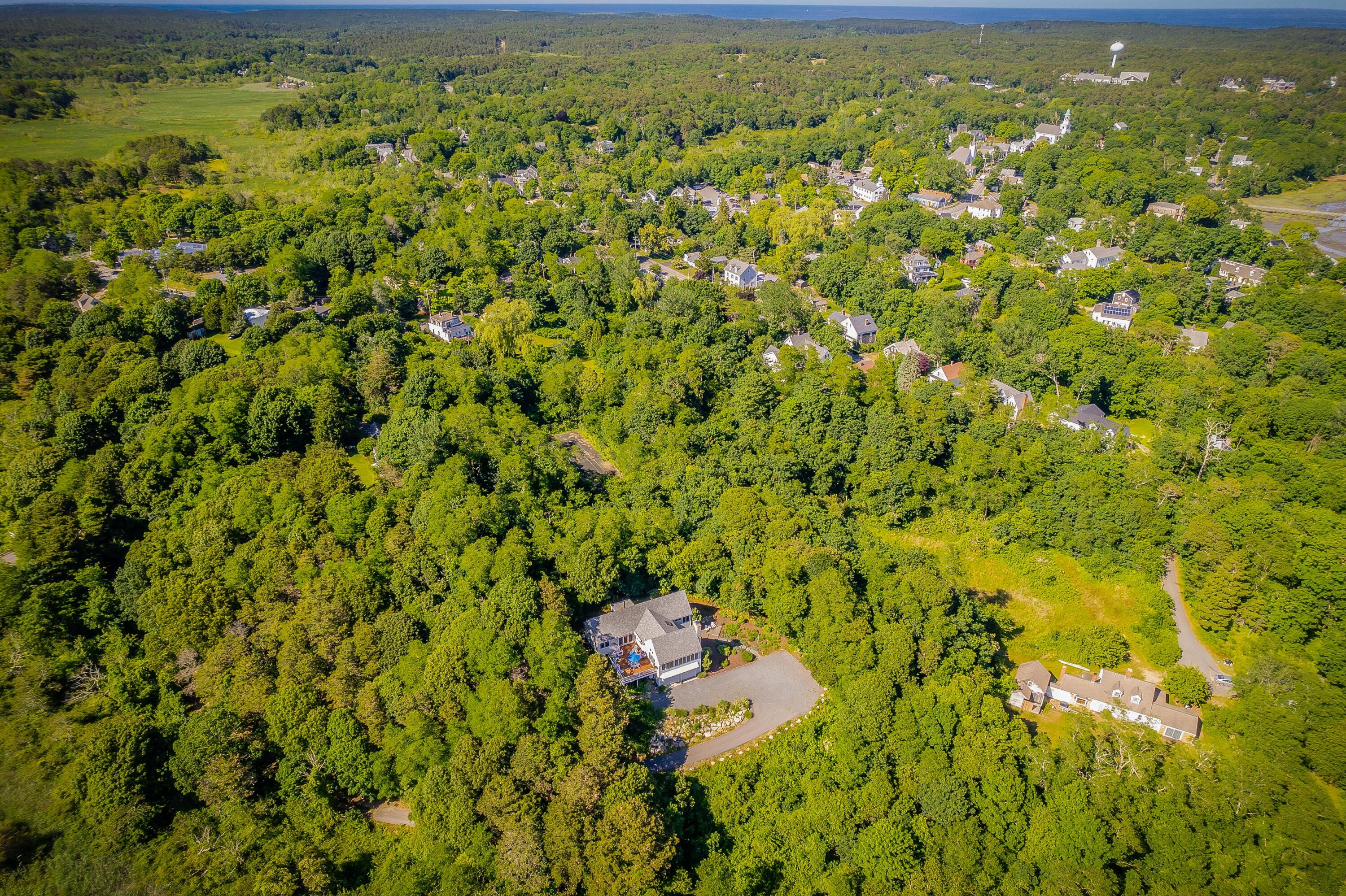 95 Chequessett Neck Road Wellfleet, MA 02667 - Photo 66 of 75 a view of a bunch of trees in a yard