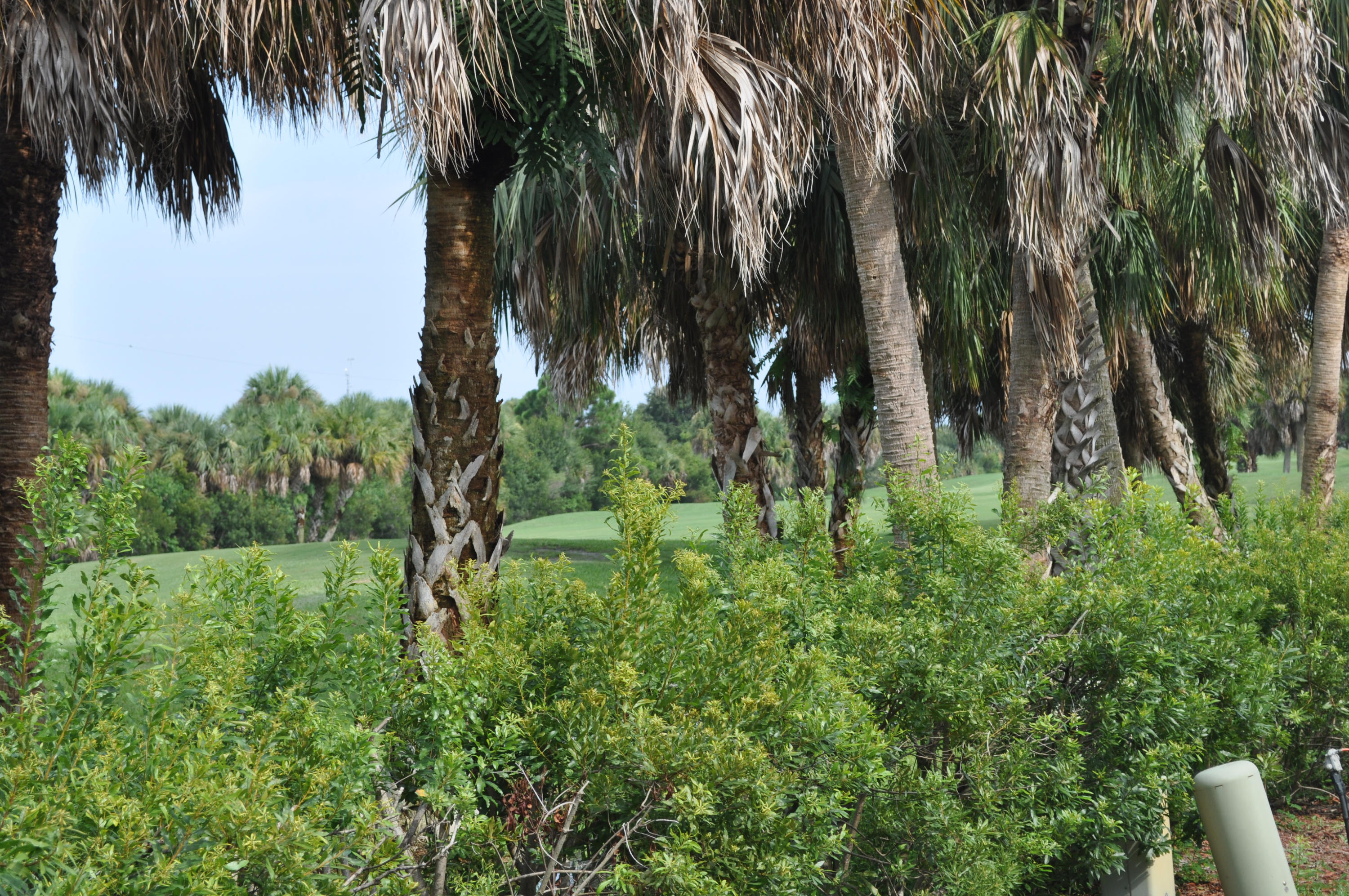 4060 Gator Trace Road Fort Pierce, FL 34982 - Photo 2 of 14 Golf Course view from rear