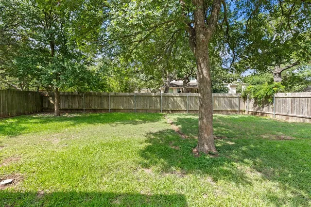 a view of a yard with a large tree and wooden fence