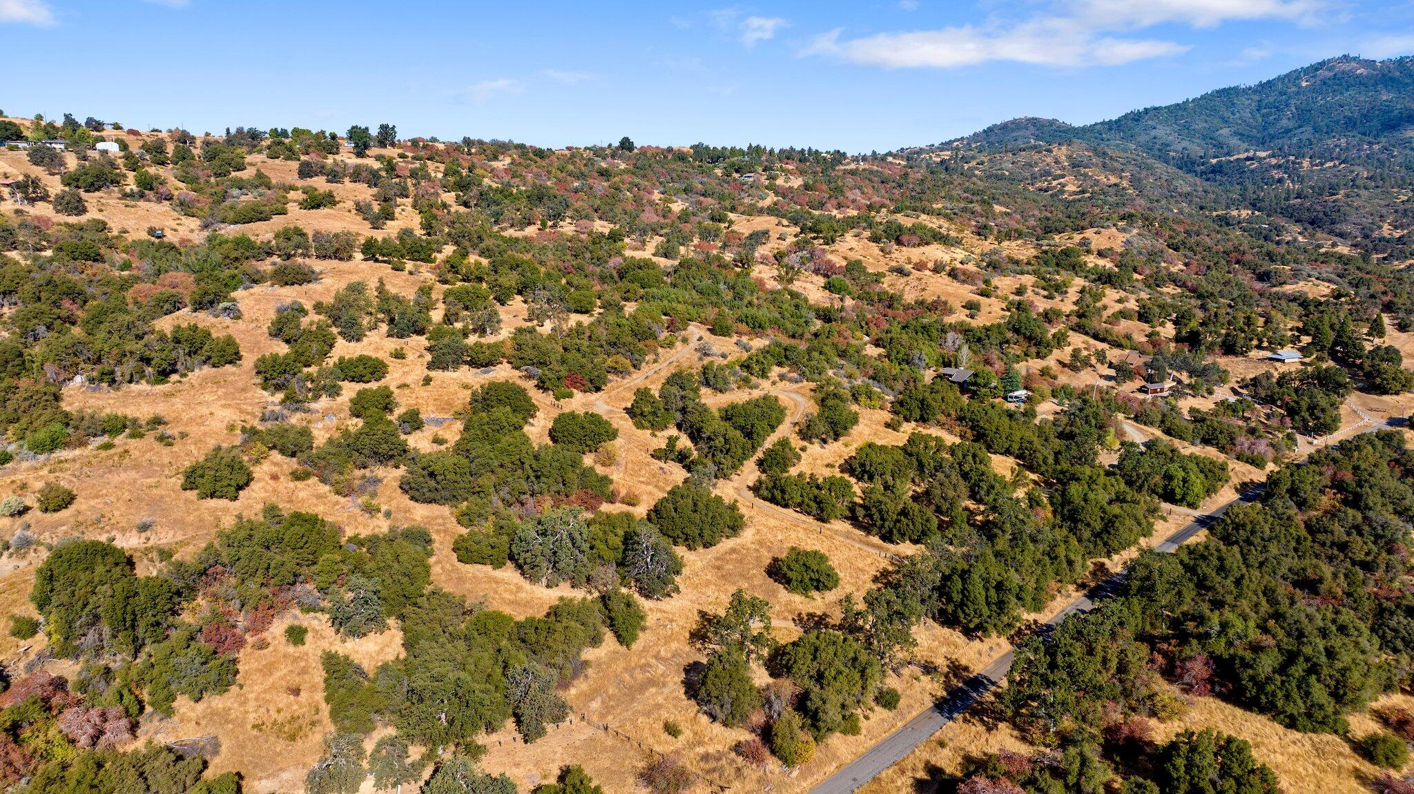 0 Whitaker Forest Road Badger, CA 93603 - Photo 12 of 13 14-web-or-mls-DJI_20241007094603_0430_D