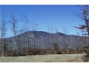 Lot 11 Clay Brook Road Gorham, NH 03581 - Photo 2 of 3 Gallery Image 2