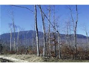 Lot 11 Clay Brook Road Gorham, NH 03581 - Photo 3 of 3 Gallery Image 3