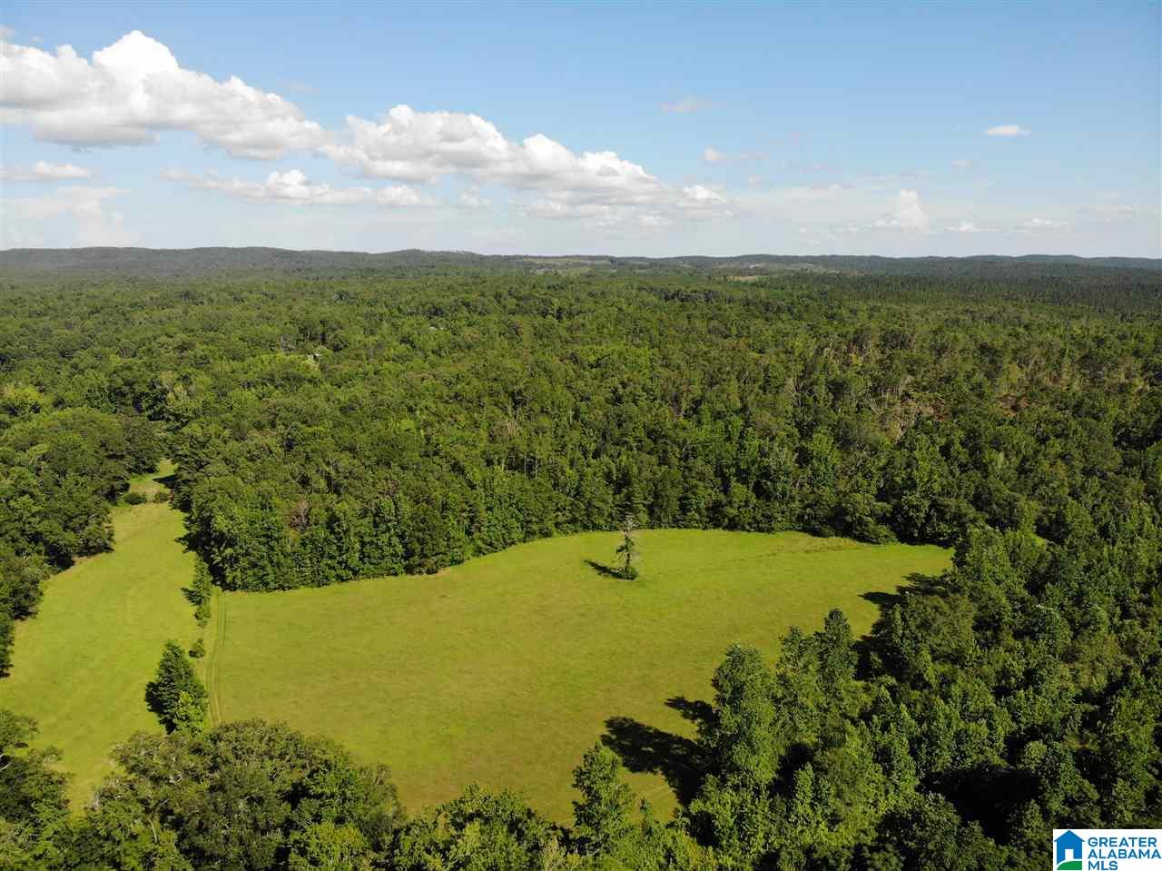 0 Antler Loop Rockford, AL 35136 - Photo 9 of 12