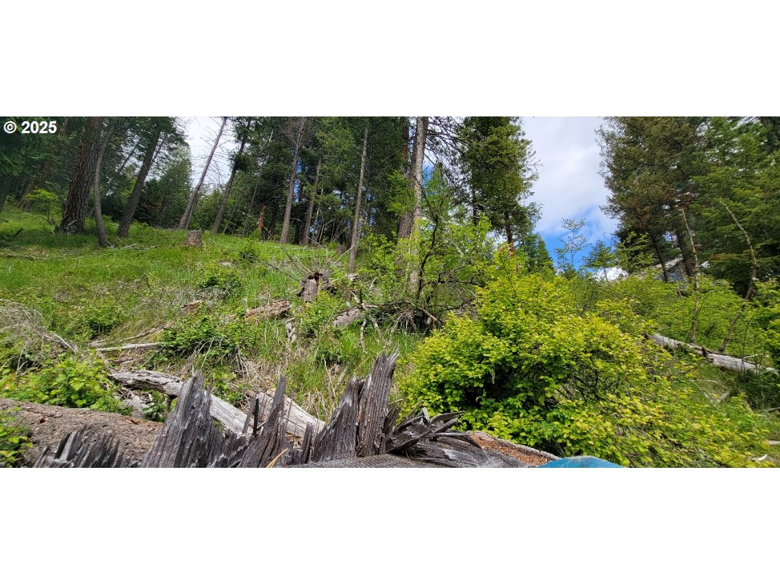 Lakeshore Drive, Unit 4900 Joseph, OR 97846 - Photo 7 of 8 a view of a garden