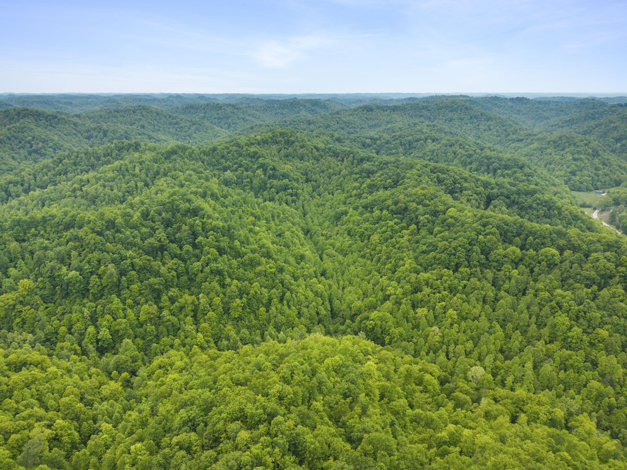 0 Jetts Creek Road Jackson, KY 41339 - Photo 20 of 31 19-web-or-mls-DJI_20260505153258_0050_D