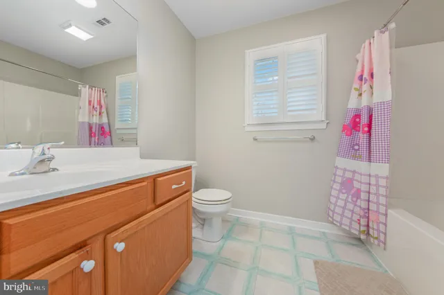 a bathroom with a sink a toilet and a shower