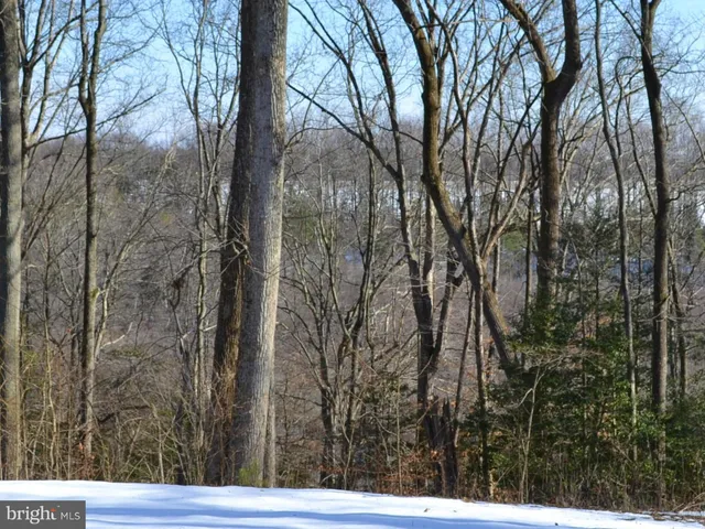 a view of backyard with green space
