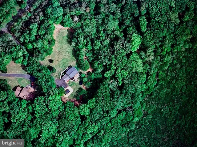 a view of statue in bunch of green field
