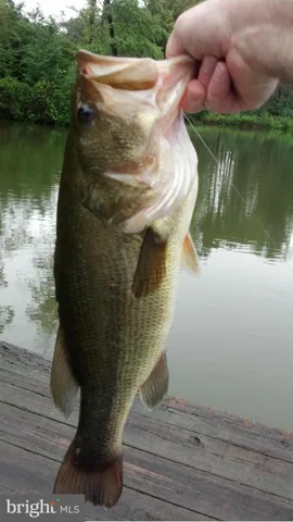 a picture of a wall with a large window