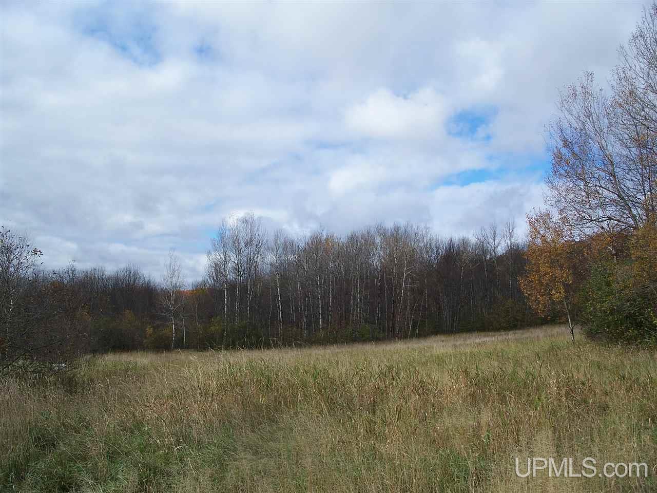 196 Indianhead Road Wakefield, MI 49968 - Photo 16 of 17 Gallery Image 16