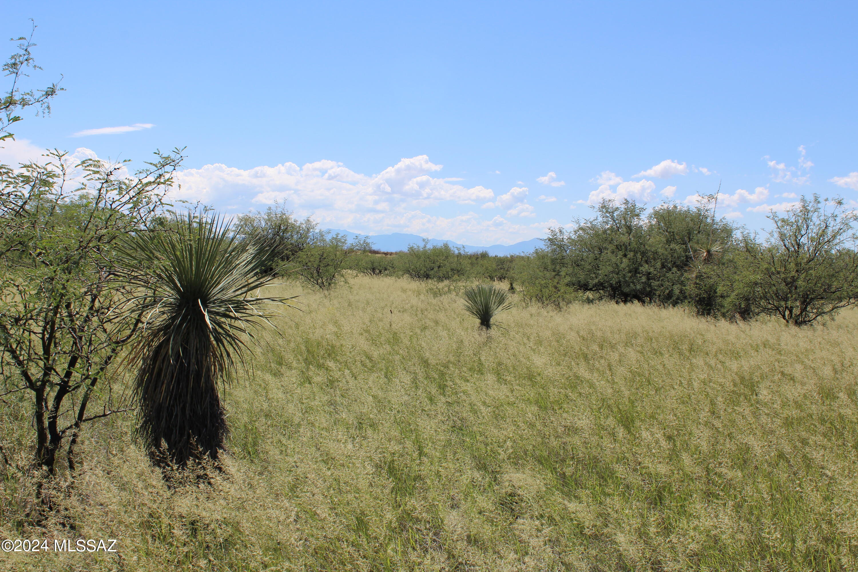 Tbd East Naiche Road, Unit 56 St. David, AZ 85630 - Photo 15 of 17
