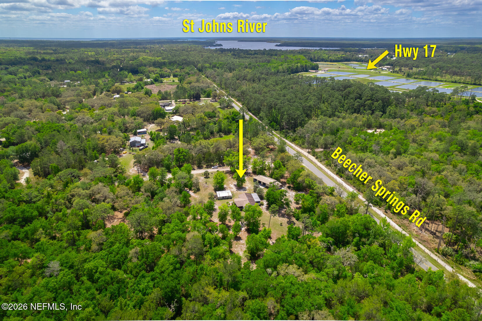 374 Beecher Springs Road Welaka, FL 32112 - Photo 2 of 26 374BeecherSprings--5