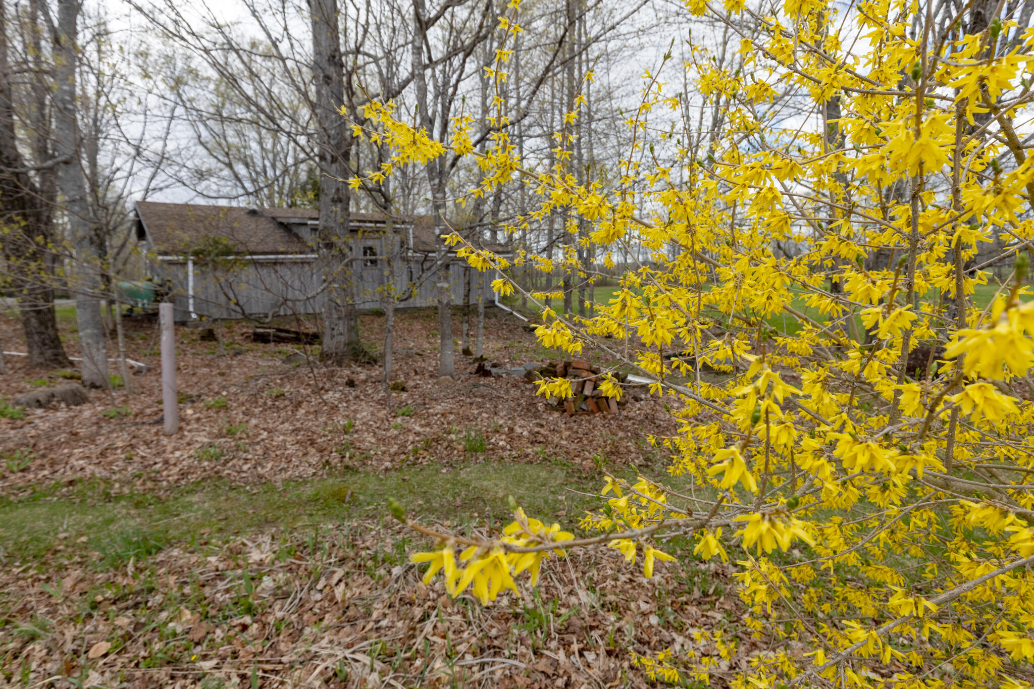 85 Norton Hill Road Dover-Foxcroft, ME 04426 - Photo 42 of 58