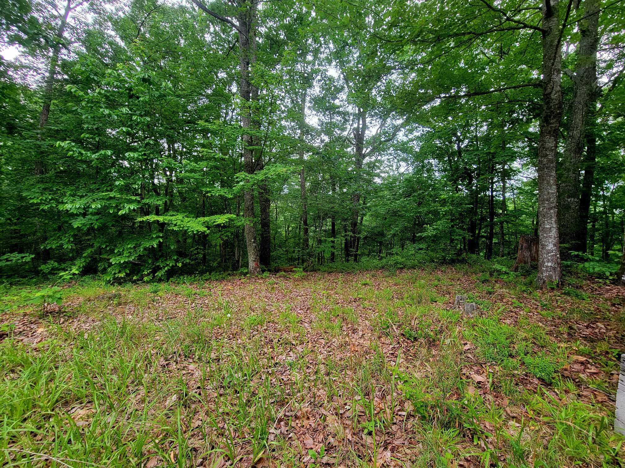 279 Mike Mcwhorter Road Tyner, KY 40486 - Photo 34 of 45 447645074_823955779677375_71353611282097