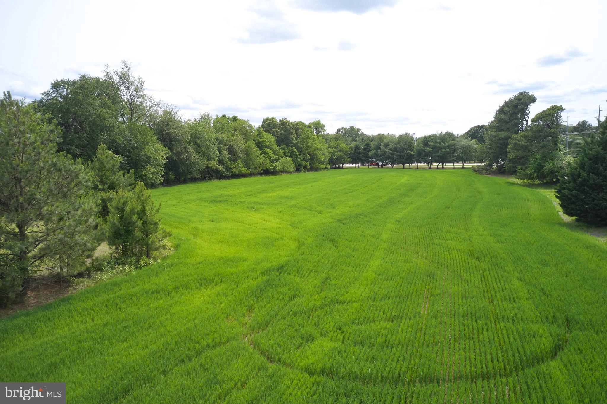 445 Hurffville-Grenloch Road Sewell, NJ 08080 - Photo 10 of 15 a view of field with trees in the background