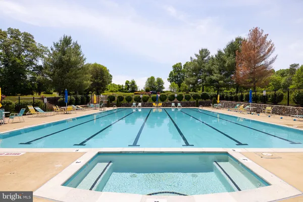a view of a swimming pool with a yard and plants
