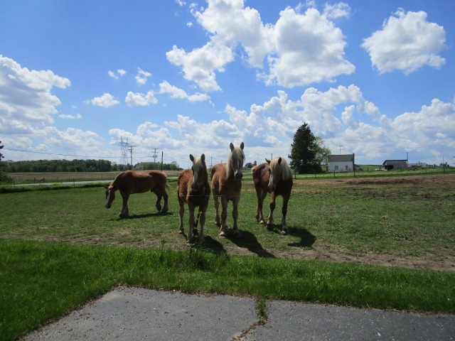 160 State Road West Branch, MI 48661 - Photo 10 of 25 1875054-9.JPG