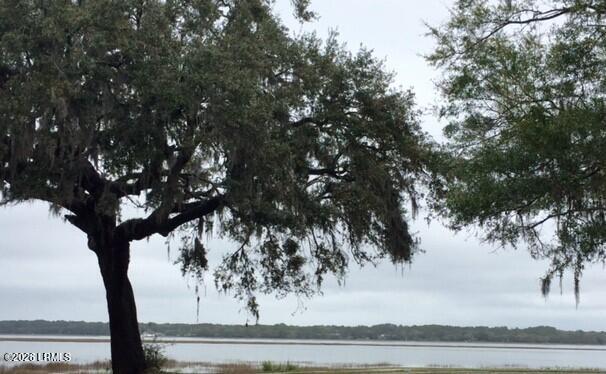 710 Boundary Street, Unit 2B Beaufort, SC 29902 - Photo 21 of 21 Waterfront With Trees