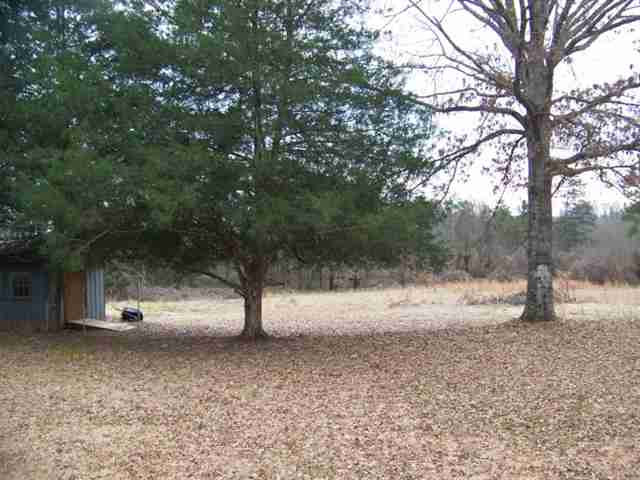 207 Tokeena Road, Unit HWY 59 Seneca, SC 29678 - Photo 18 of 23 Gallery Image 18