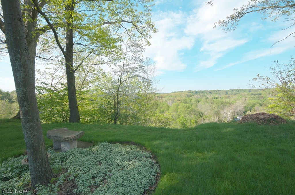 36951 Riviera Ridge Road Willoughby, OH 44094 - Photo 25 of 25 Gallery Image 25