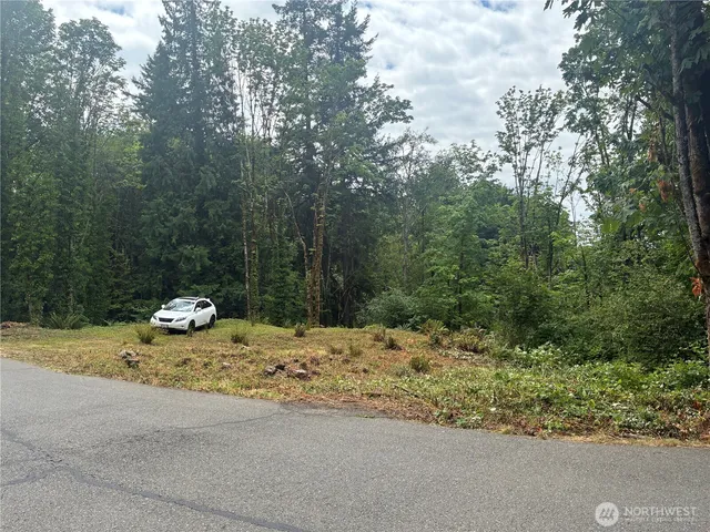 a fire hydrant in the middle of a forest