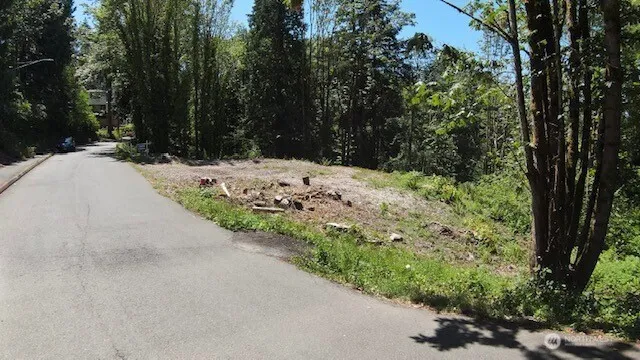 a view of a road with a yard