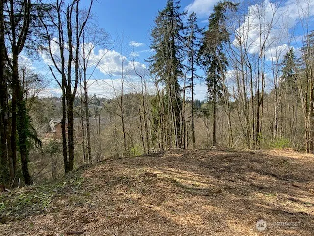 a view of outdoor space with trees