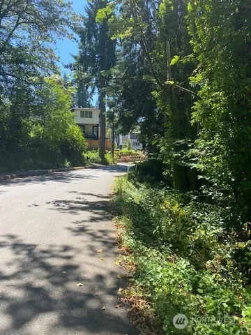 a view of a yard with plants and trees