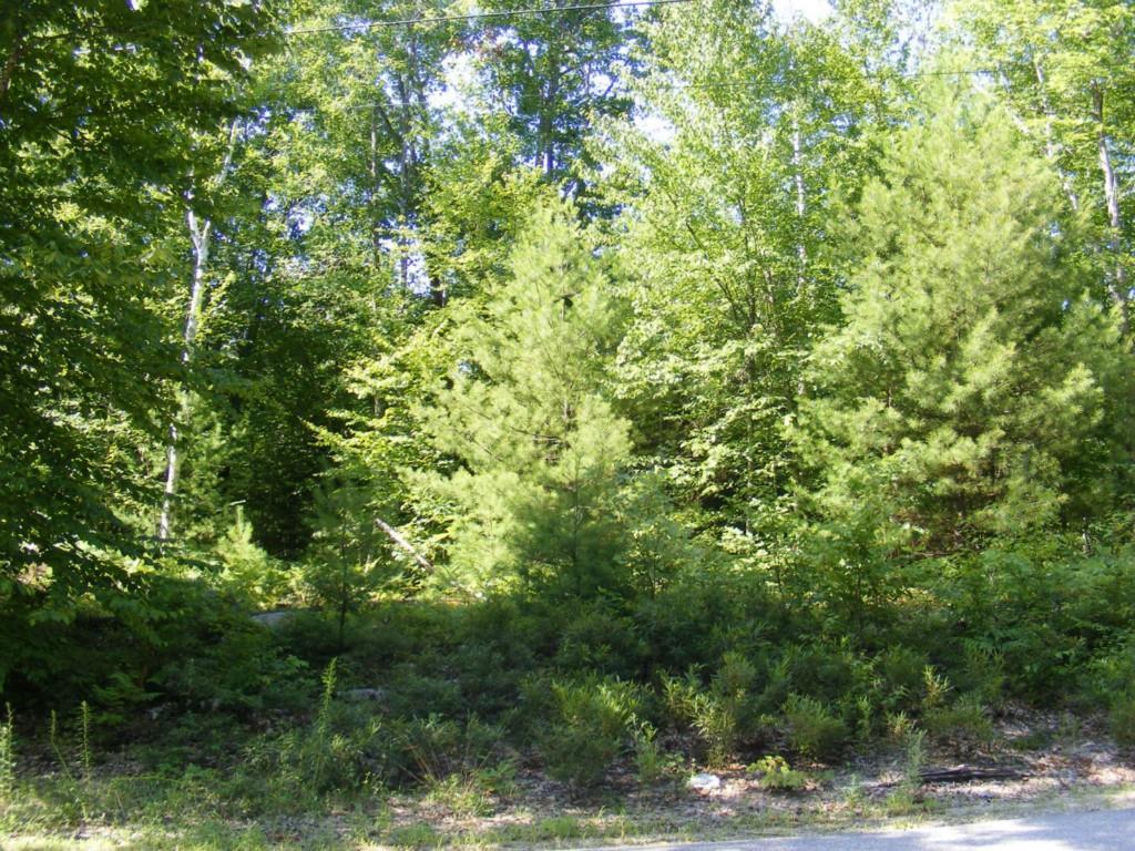 O O Sadie Lane/poor Farm Road Lyman, ME 04002 - Photo 3 of 6 Photo