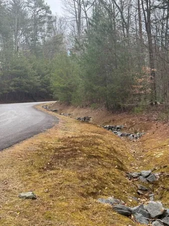 $62,500 | 16 R Leatherwood Mountain Road, Cherry Log, GA 30522