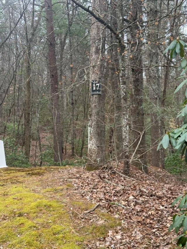 16 R Leatherwood Mountain Road Cherry Log, GA 30522 - Photo 12 of 13