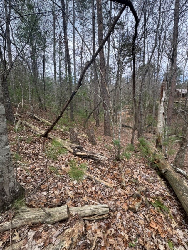 16 R Leatherwood Mountain Road Cherry Log, GA 30522 - Photo 13 of 13