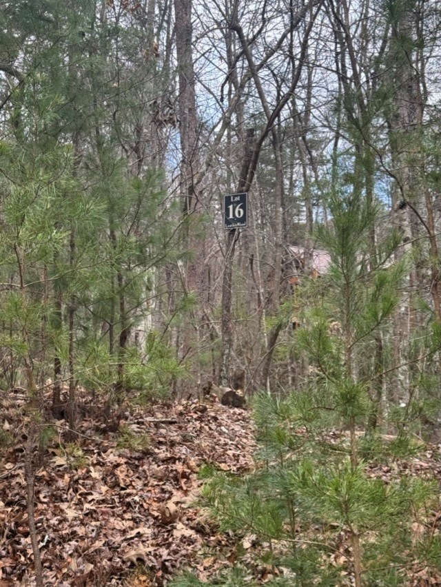 16 R Leatherwood Mountain Road Cherry Log, GA 30522 - Photo 6 of 13