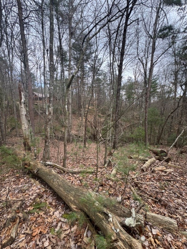 16 R Leatherwood Mountain Road Cherry Log, GA 30522 - Photo 7 of 13