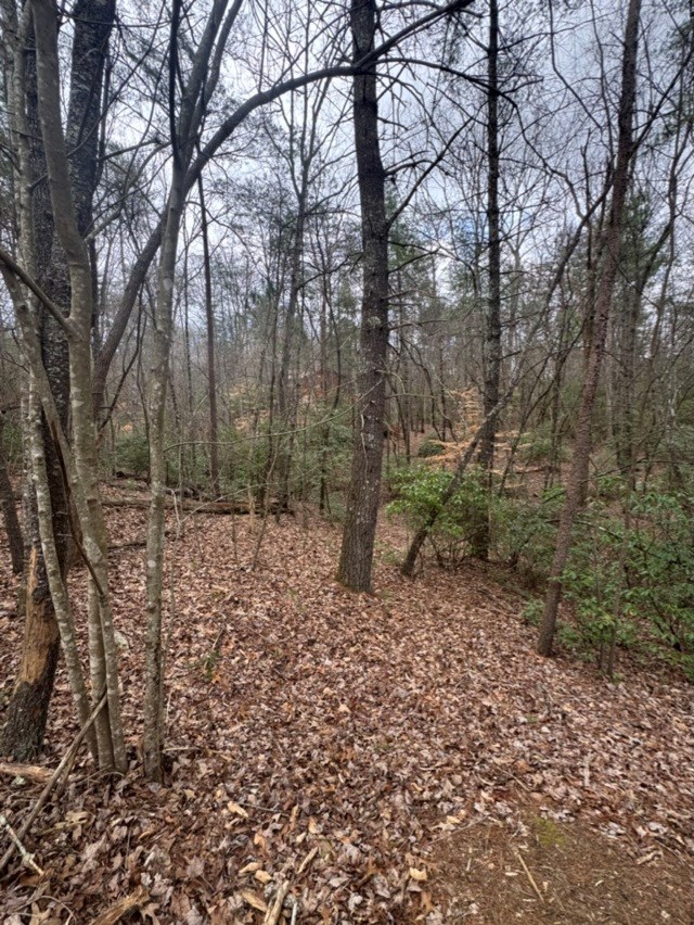 16 R Leatherwood Mountain Road Cherry Log, GA 30522 - Photo 8 of 13