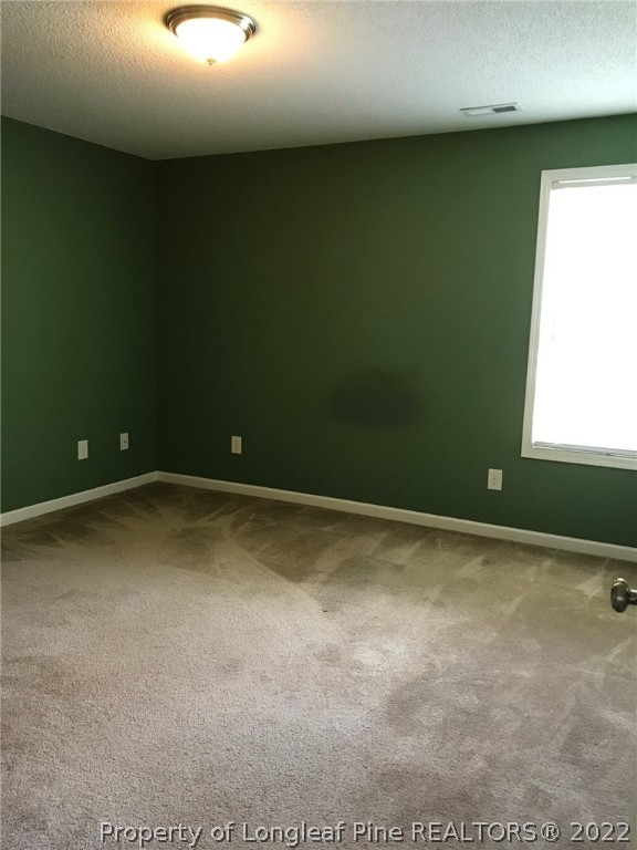 1314 Gum Shaw Road Elizabethtown, NC 28337 - Photo 17 of 19 Gallery Image 17