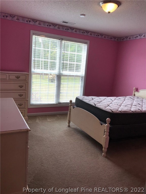 1314 Gum Shaw Road Elizabethtown, NC 28337 - Photo 19 of 19 Gallery Image 19
