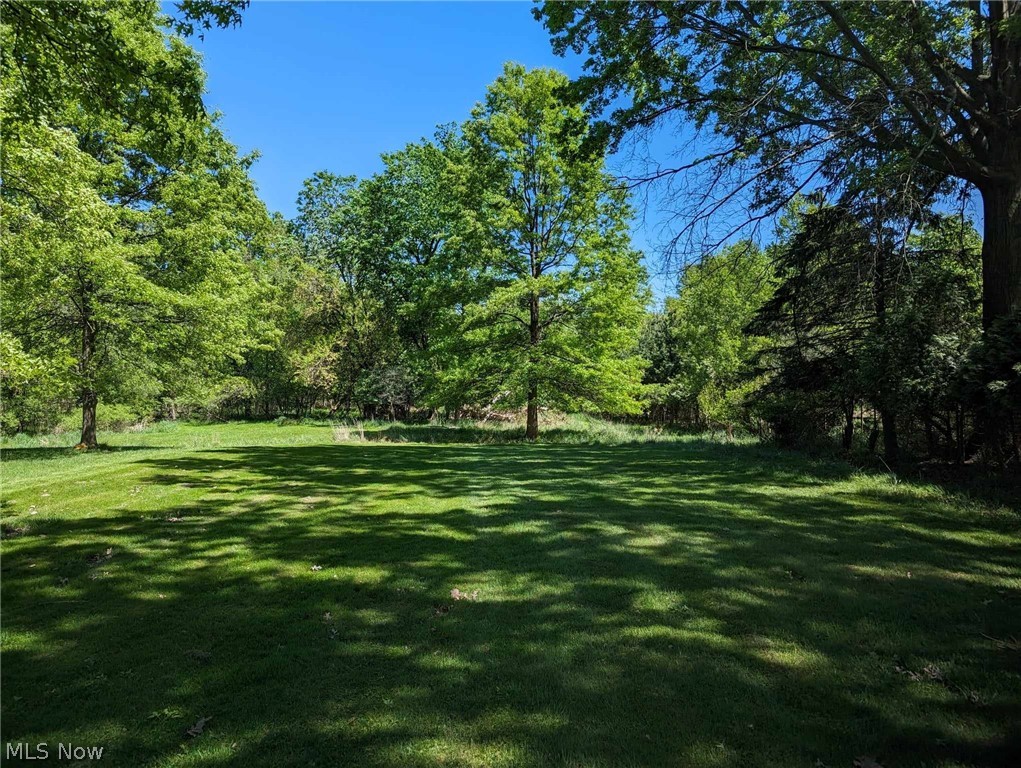 V/l Trebisky Road Cleveland, OH 44143 - Photo 5 of 16