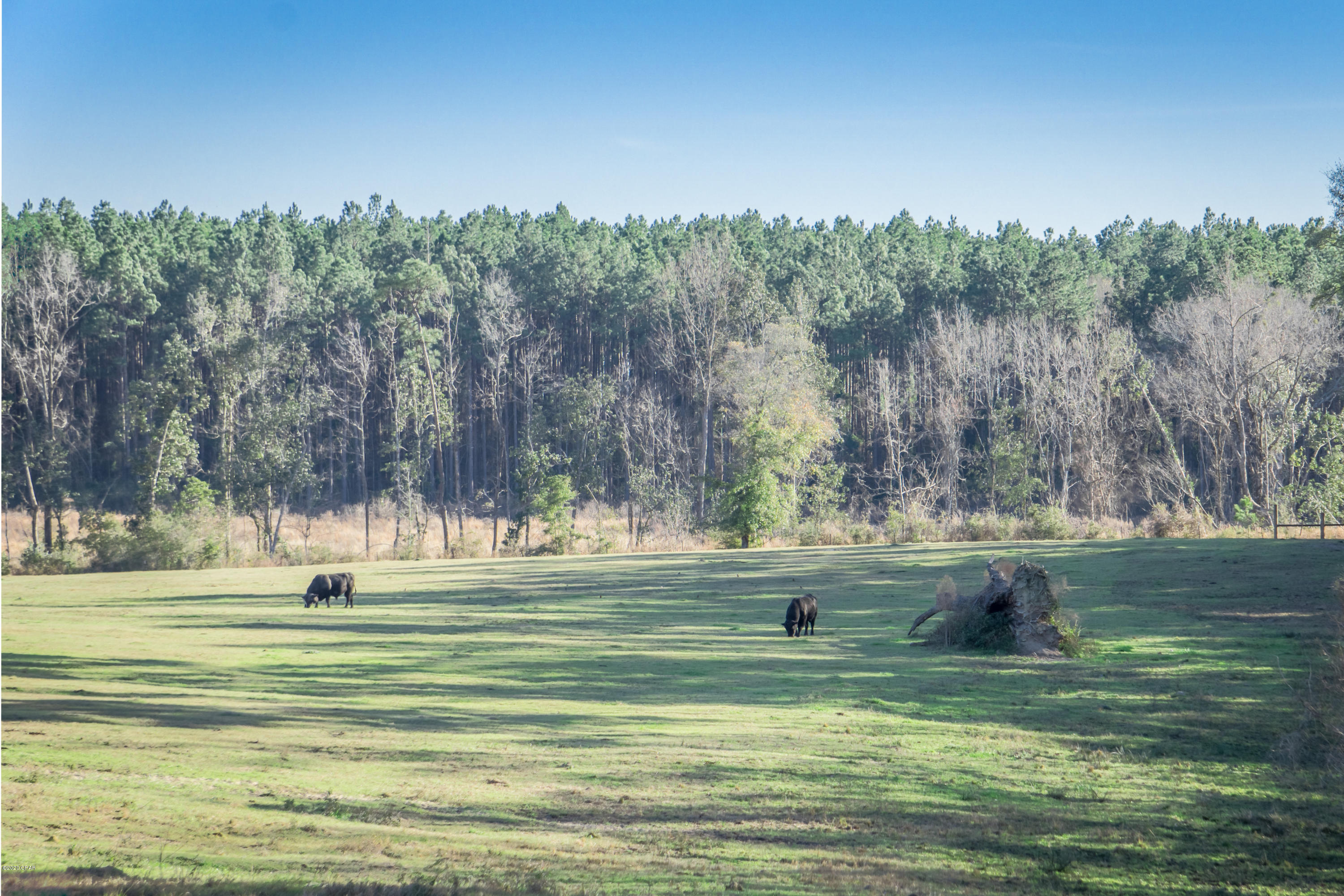 1289 Old Ridge Road Bonifay, FL 32425 - Photo 26 of 37 Gallery Image 26