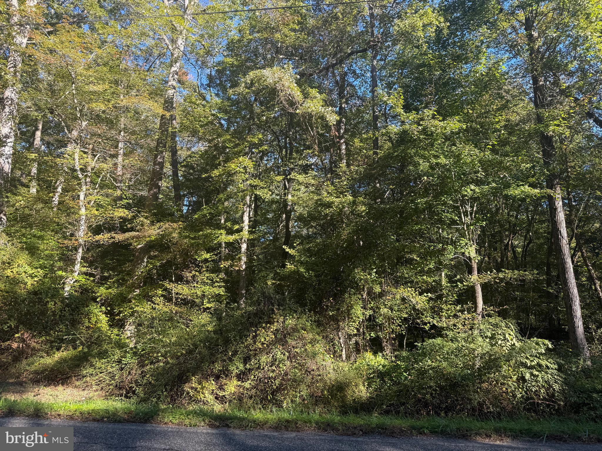 43488 Medleys Neck Road Leonardtown, MD 20650 - Photo 6 of 10