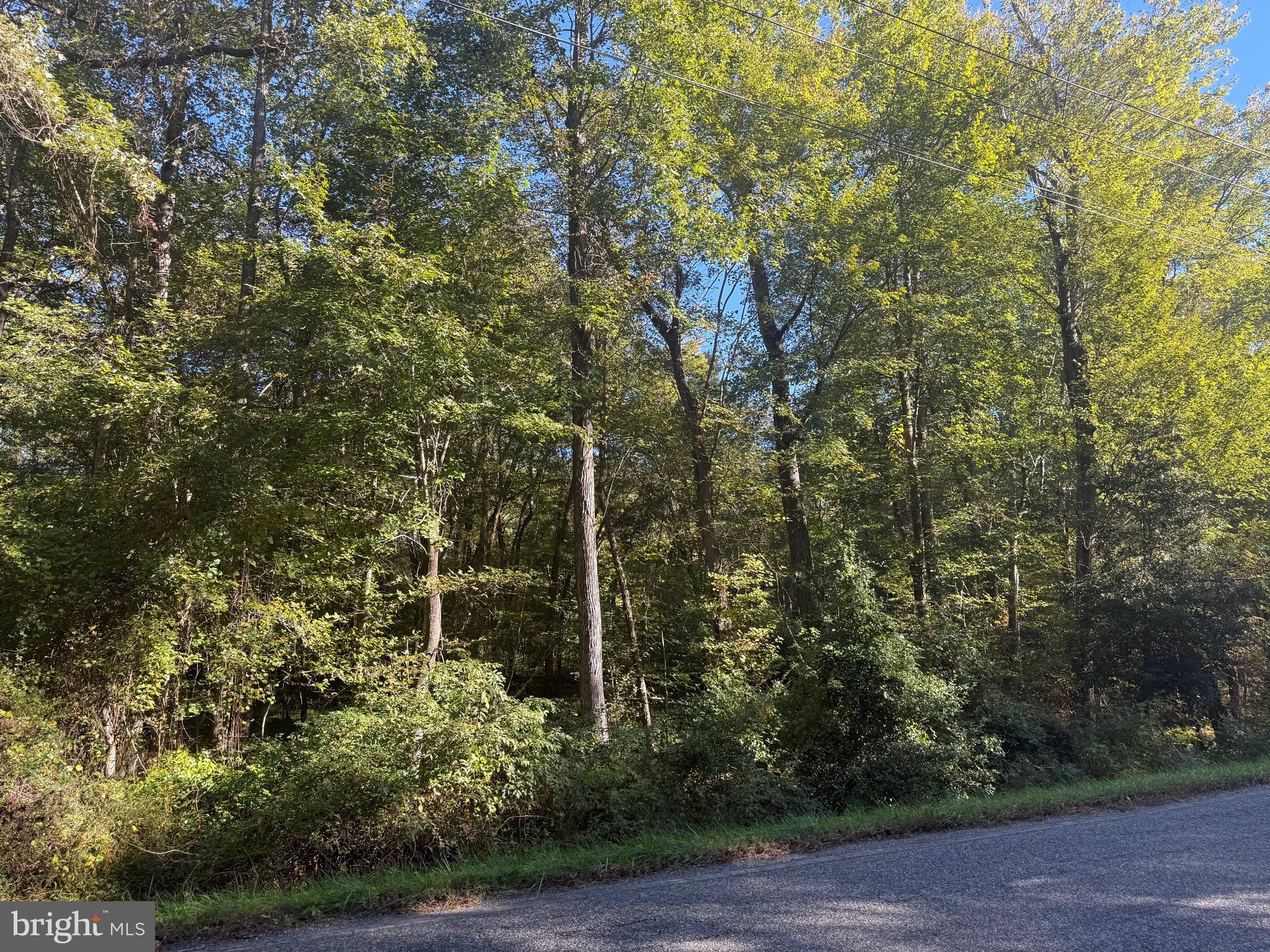 43488 Medleys Neck Road Leonardtown, MD 20650 - Photo 7 of 10 a view of outdoor space and garden