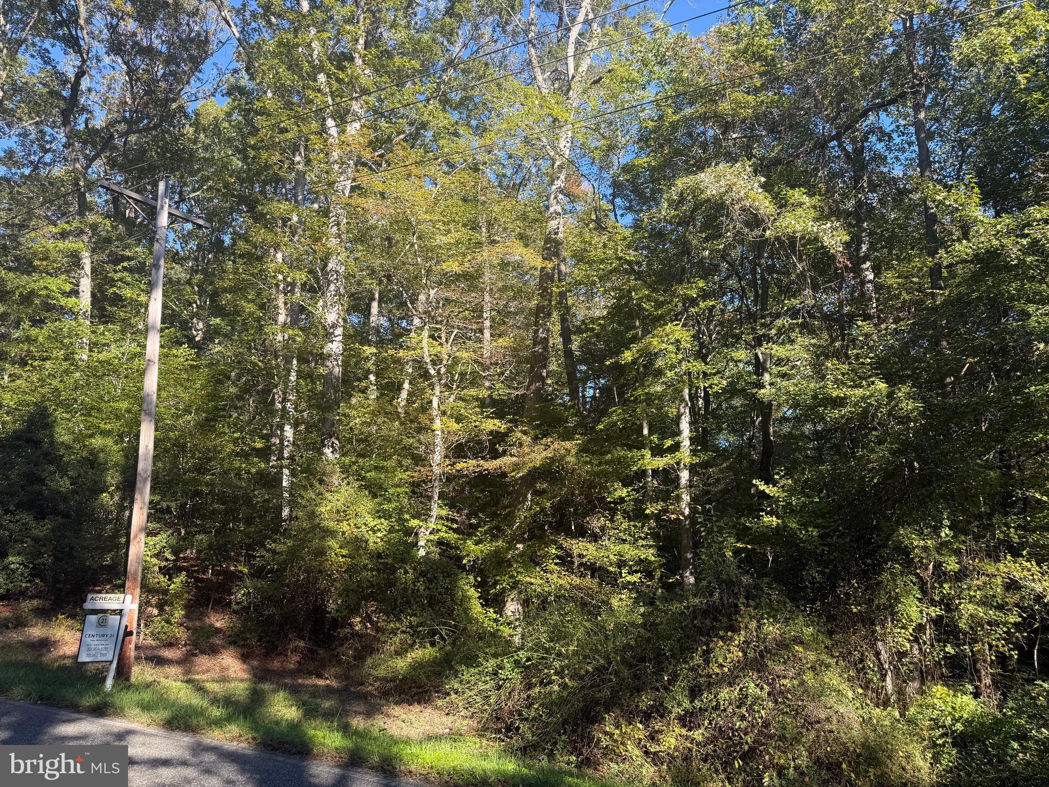 43488 Medleys Neck Road Leonardtown, MD 20650 - Photo 8 of 10 a view of a house with a tree