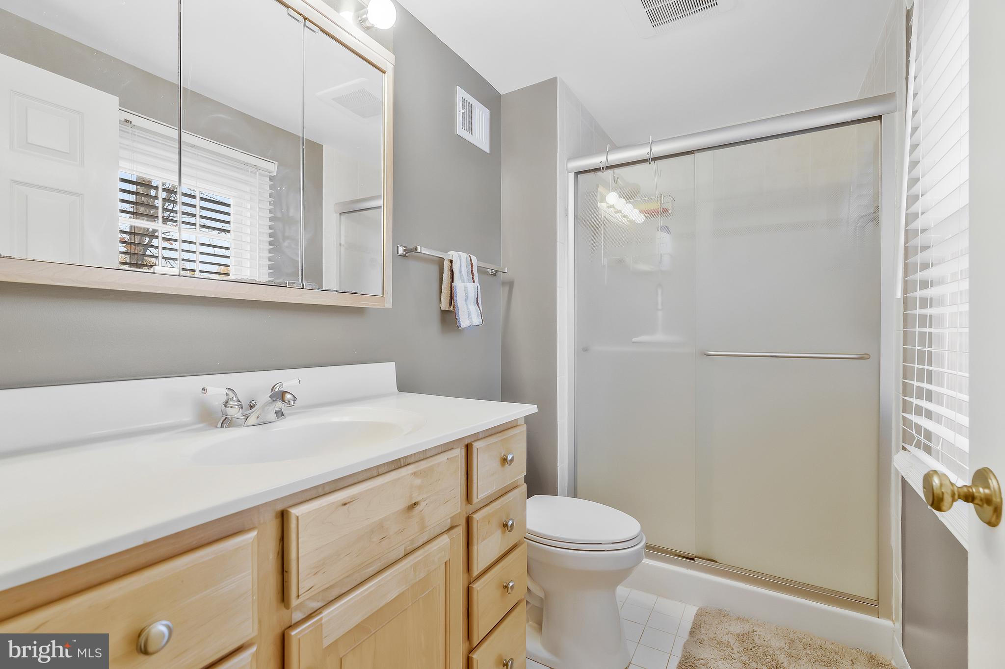 1033 Riva Ridge Drive Great Falls, VA 22066 - Photo 17 of 26 Primary Bathroom