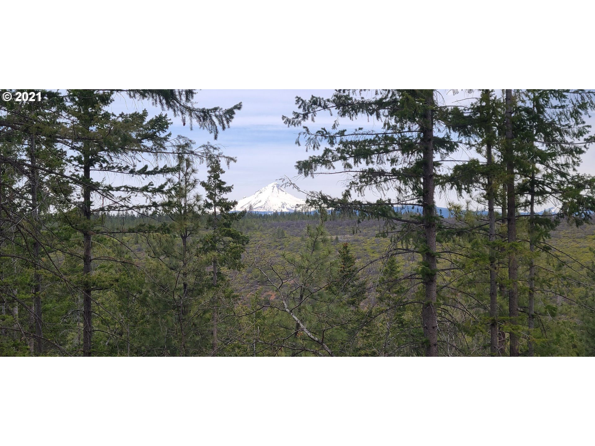 Back Walters Road Maupin, OR 97037 - Photo 1 of 20 Gallery Image 1
