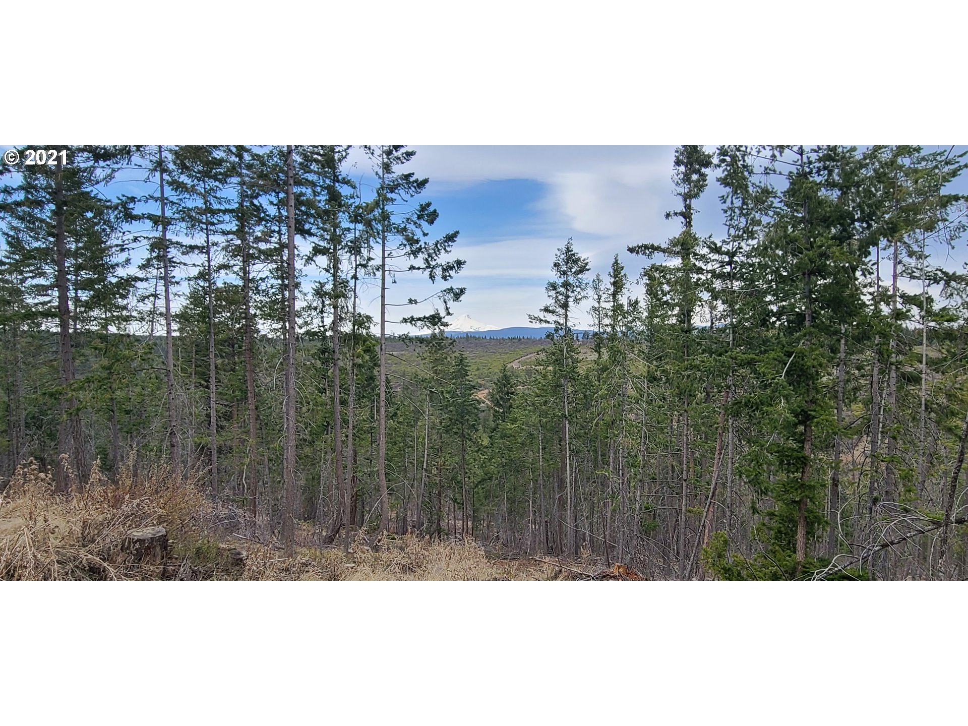 Back Walters Road Maupin, OR 97037 - Photo 11 of 20 Gallery Image 11