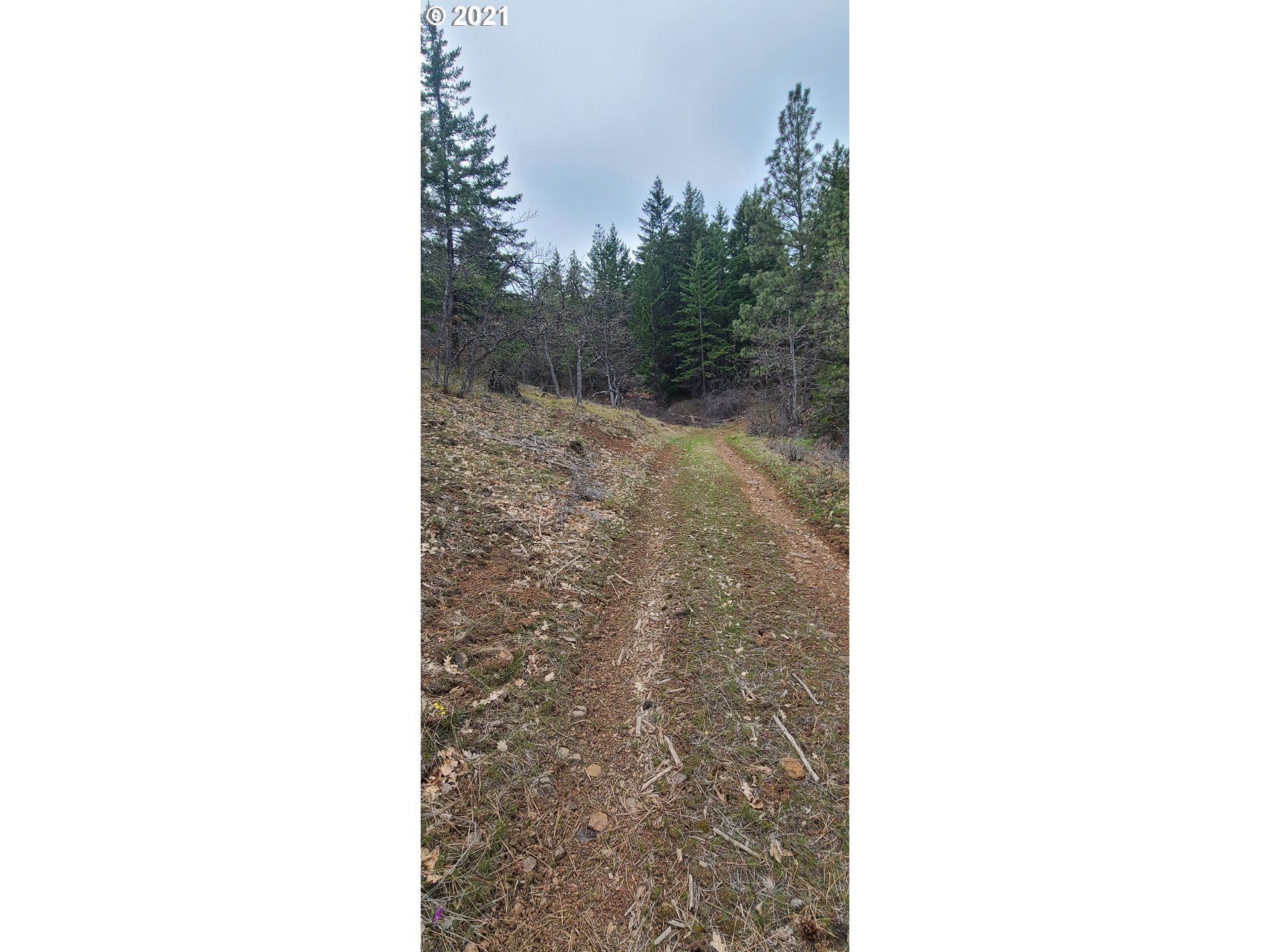 Back Walters Road Maupin, OR 97037 - Photo 12 of 20 Gallery Image 12