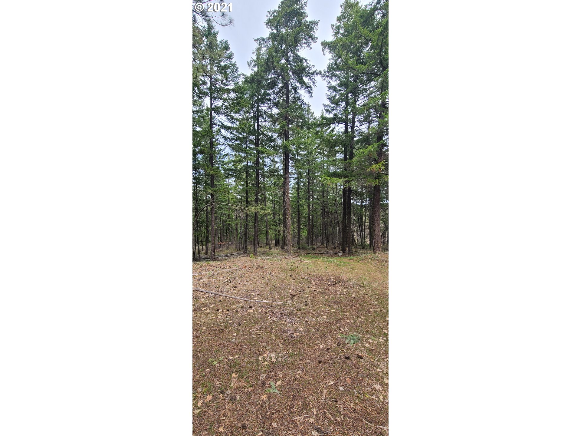Back Walters Road Maupin, OR 97037 - Photo 13 of 20 Gallery Image 13